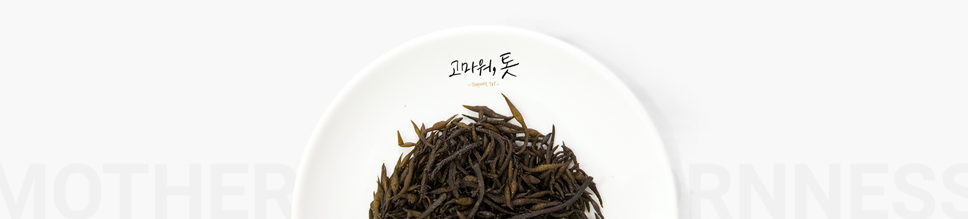 제주젬마의 집