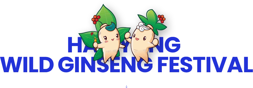 함양산삼축제